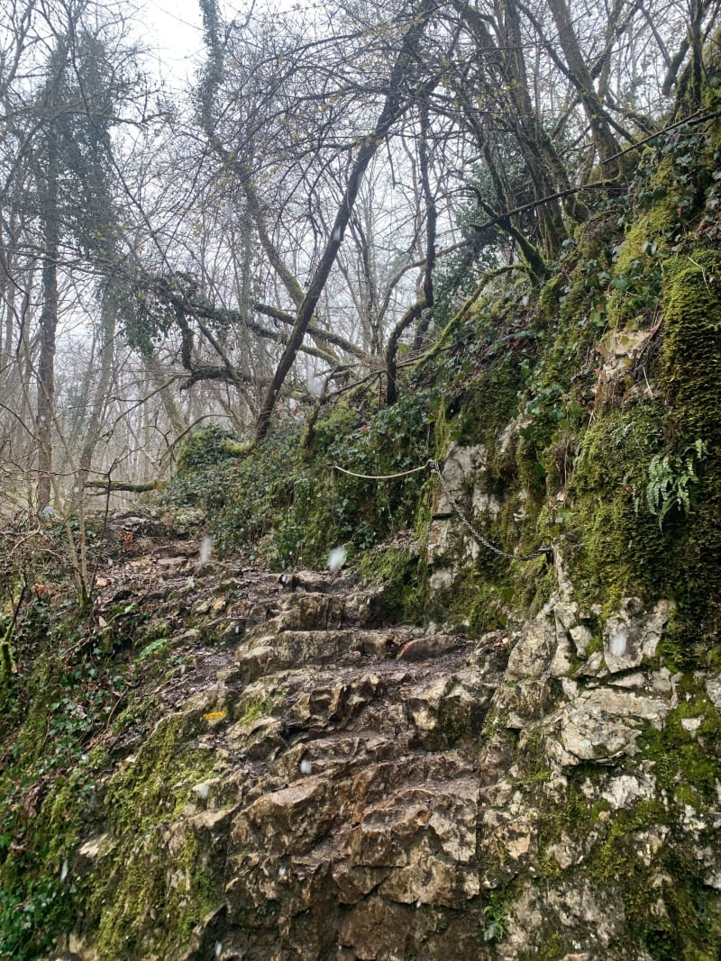 Boucle Combe Semetrot & vignes - Marsannay-la-Côte