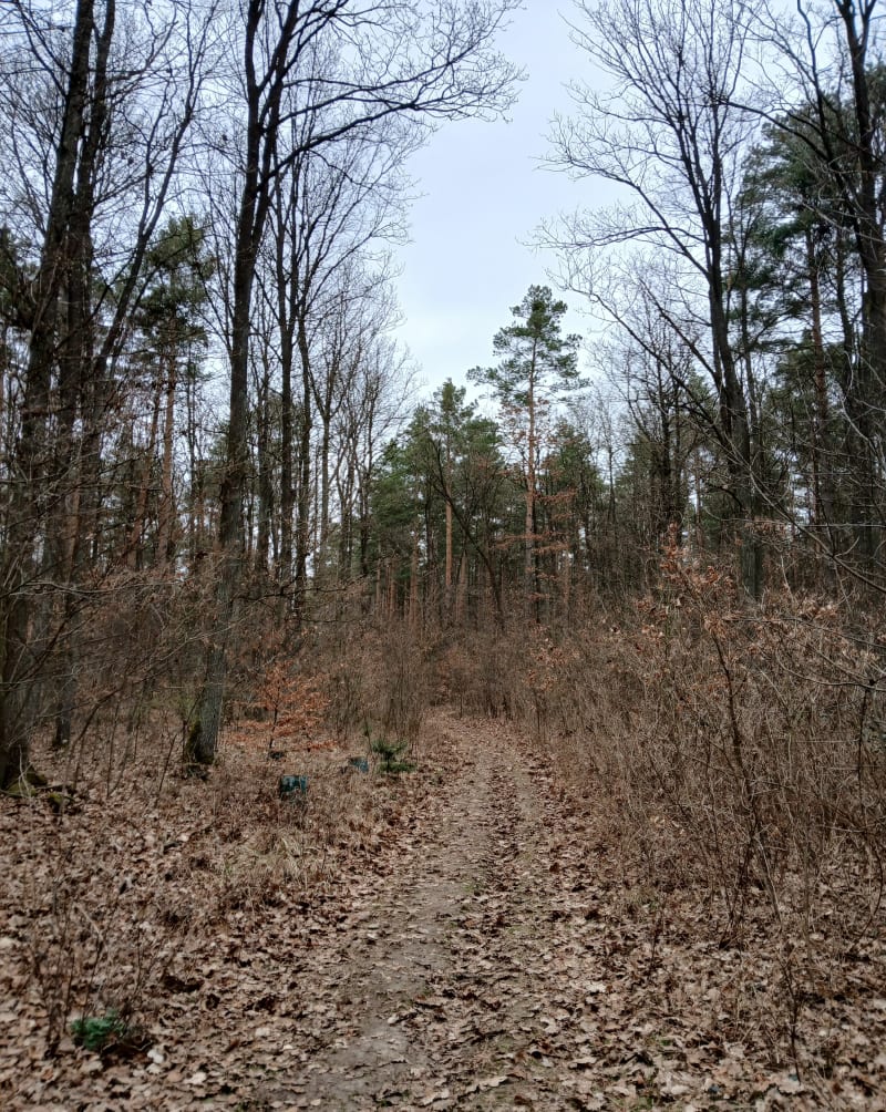 Spacer, pierwsza niedziela wiosny w Skladowice - Składowice