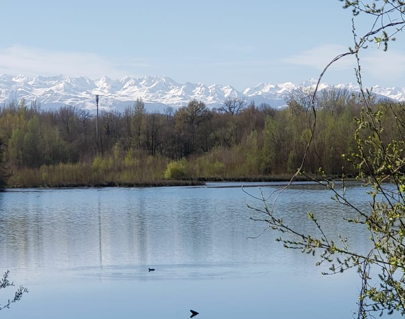 Tarbes, bourse du travail - lac de bourg - Tarbes