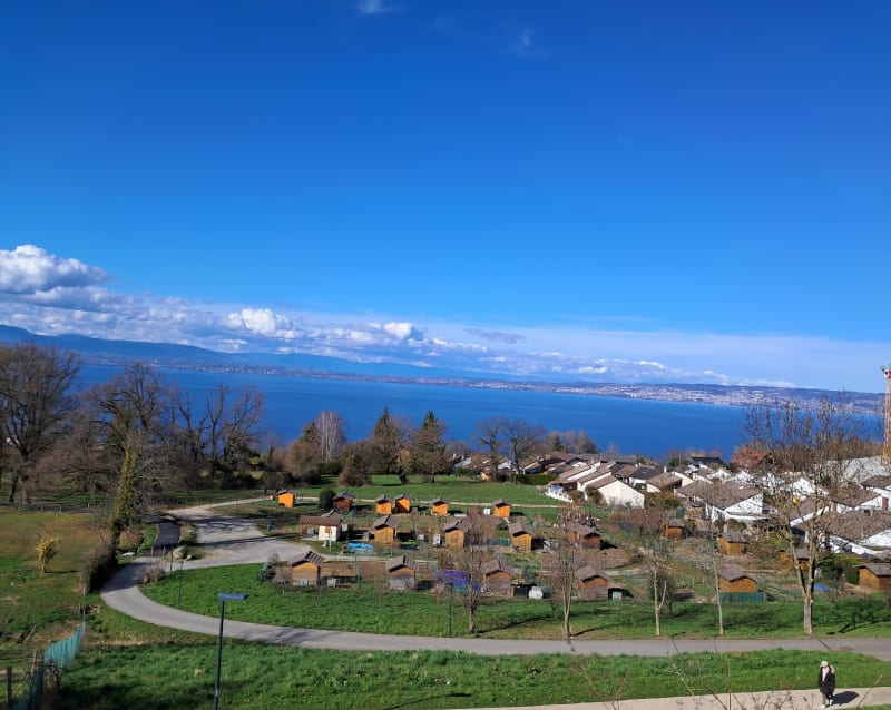 Vue sur le lac Leman et Bois Fleurer, part Publier - Évian-les-Bains