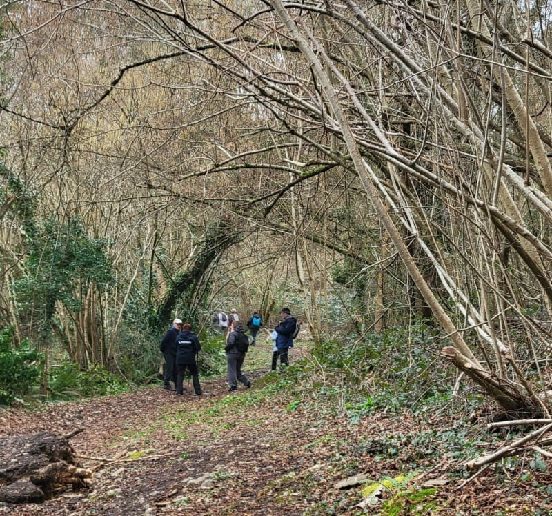 De Boulleville à Saint Pierre du Val - Boulleville