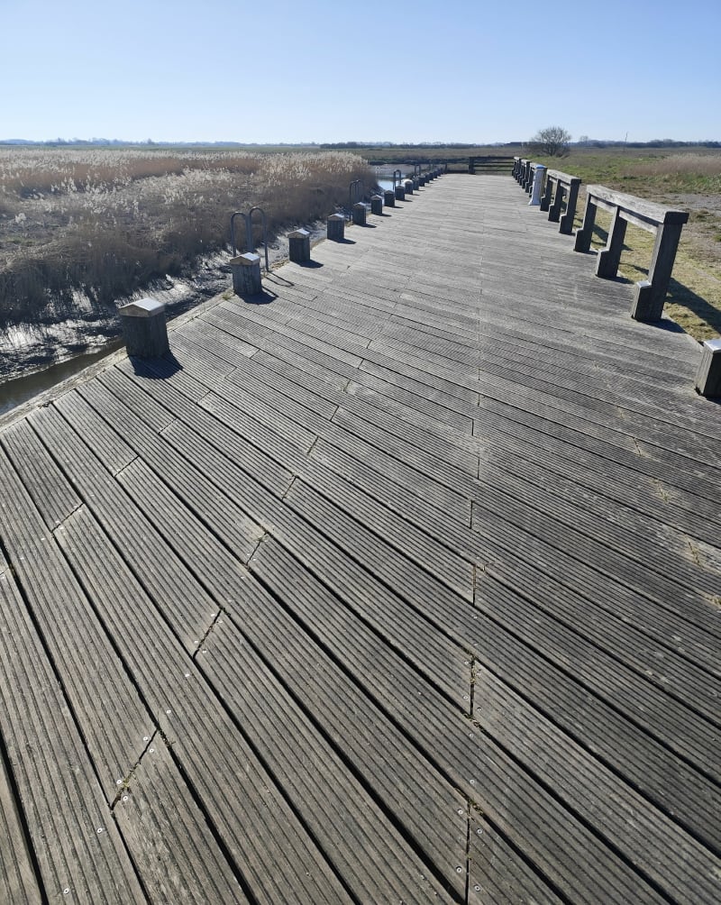 Boucle depuis Berck - Berck