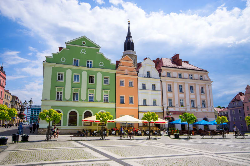 Petelka bolesławiecka - Węgliniec