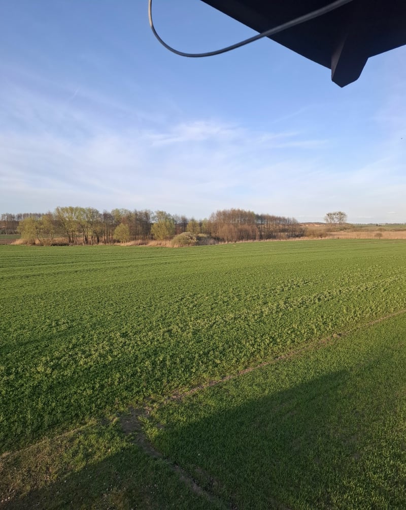 Pniewy-Zgierzynka-Dąbrowa - Pniewy
