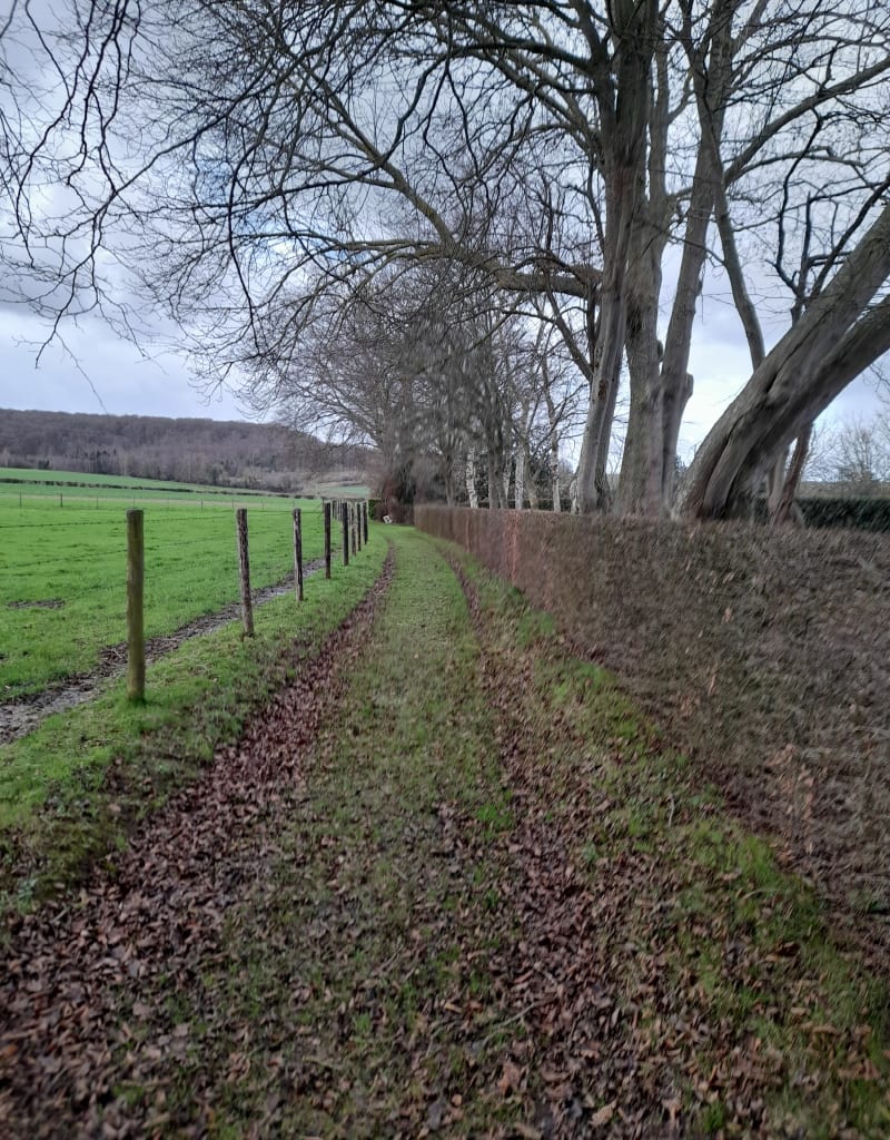 La forêt d'Eu par Rieux, depuis Monchaux - Bouttencourt