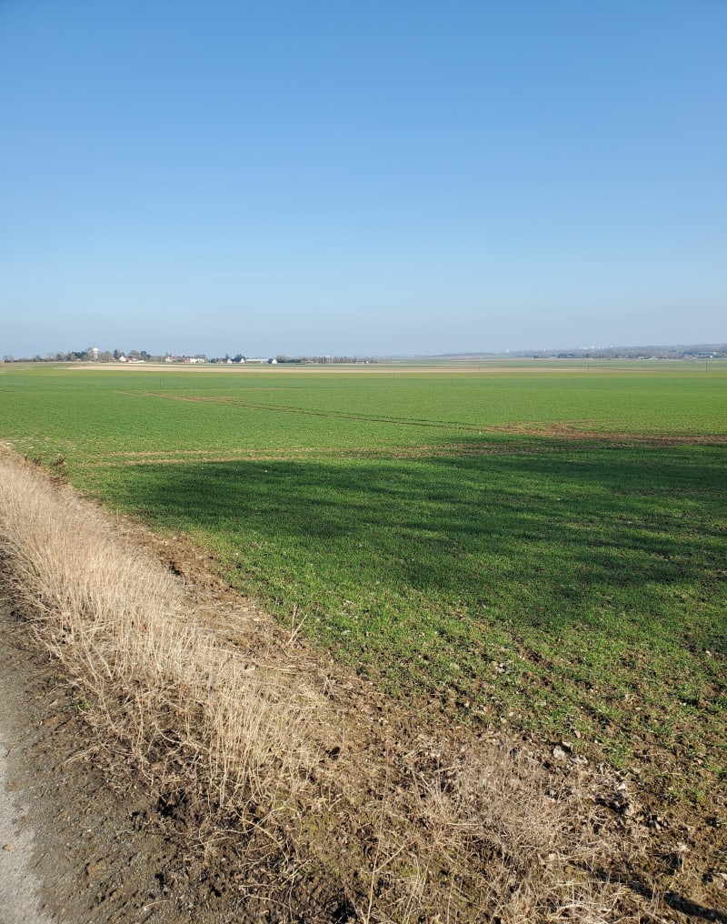 A travers la plaine et le bois d'Habarcq - Haute-Avesnes