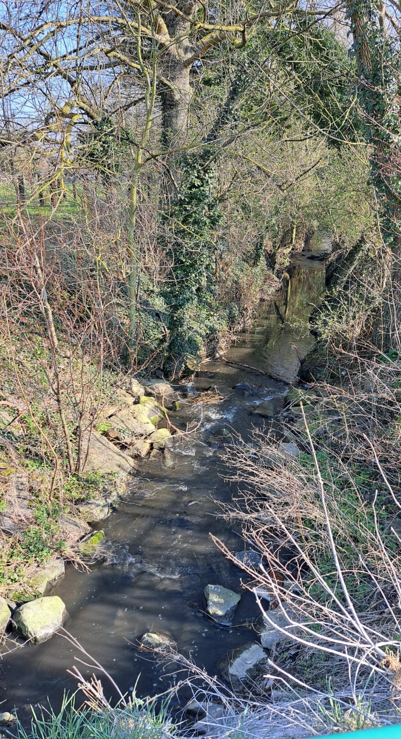 Circuit des sources Écaillon - Écaillon