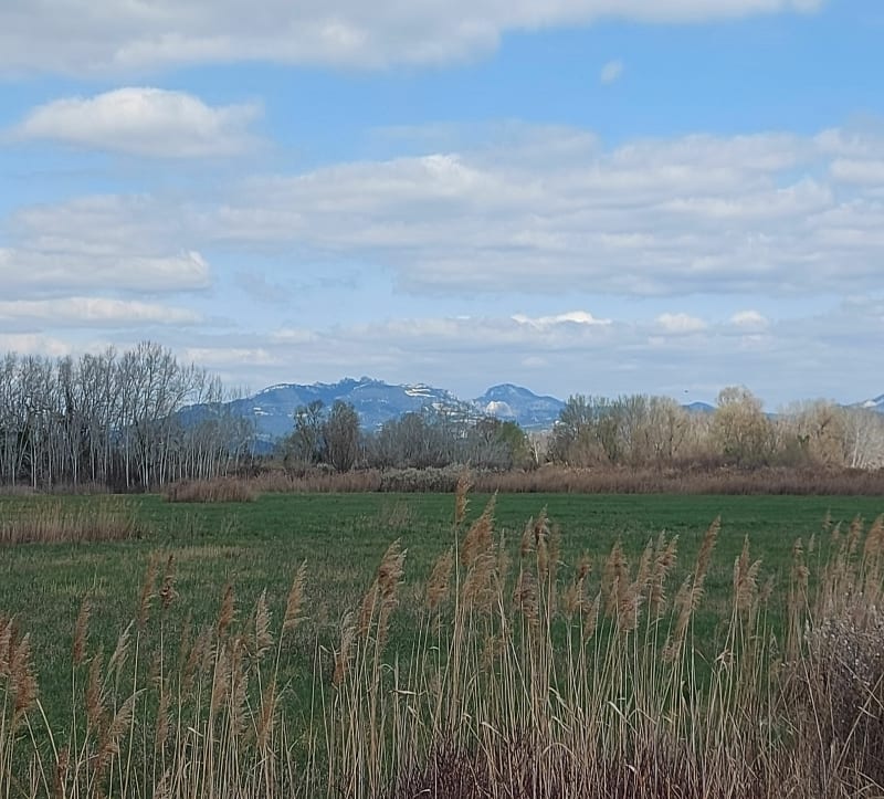 Balade en famille, autour des prairies humides des Confines - Monteux
