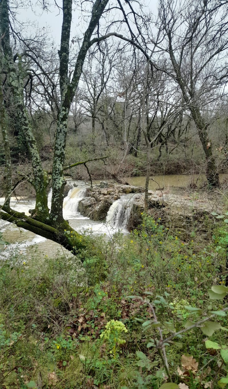 La cascade, Château de Grézan - Magalas