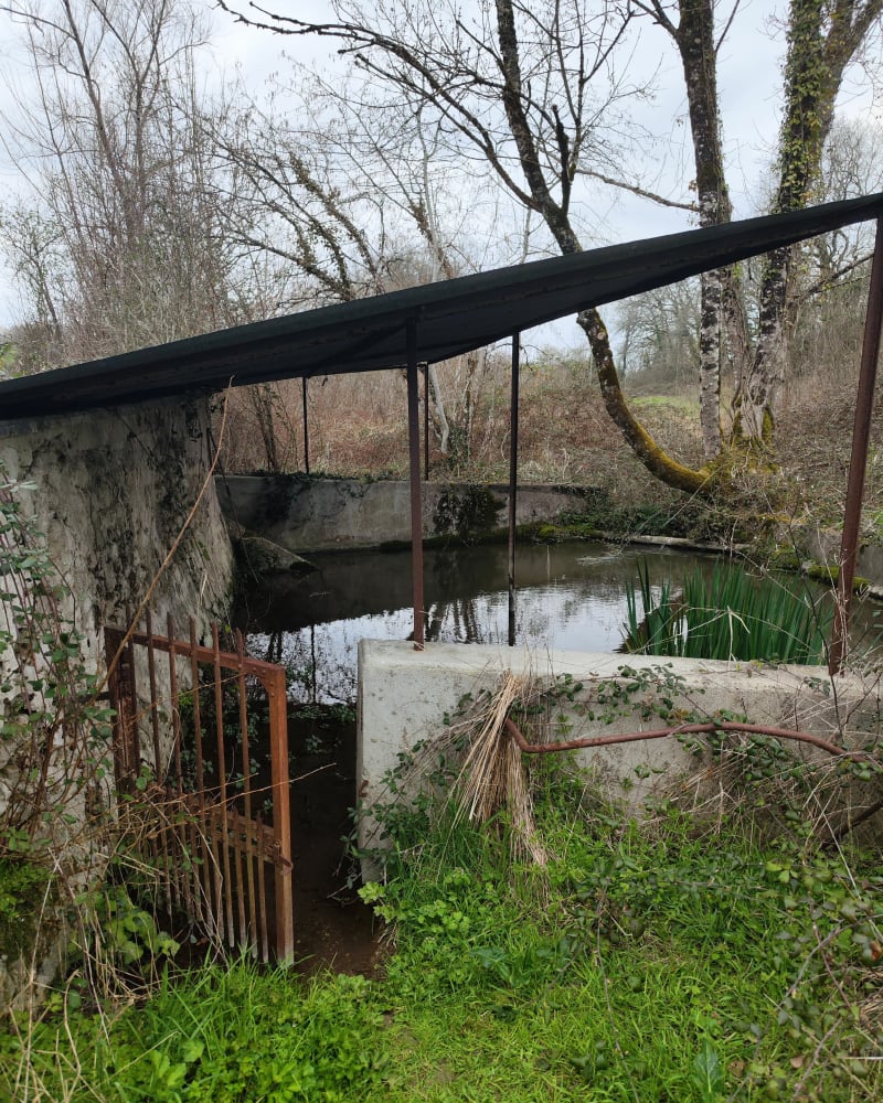 Petite boucle de randonnée par le Maine du Bost - Villetoureix