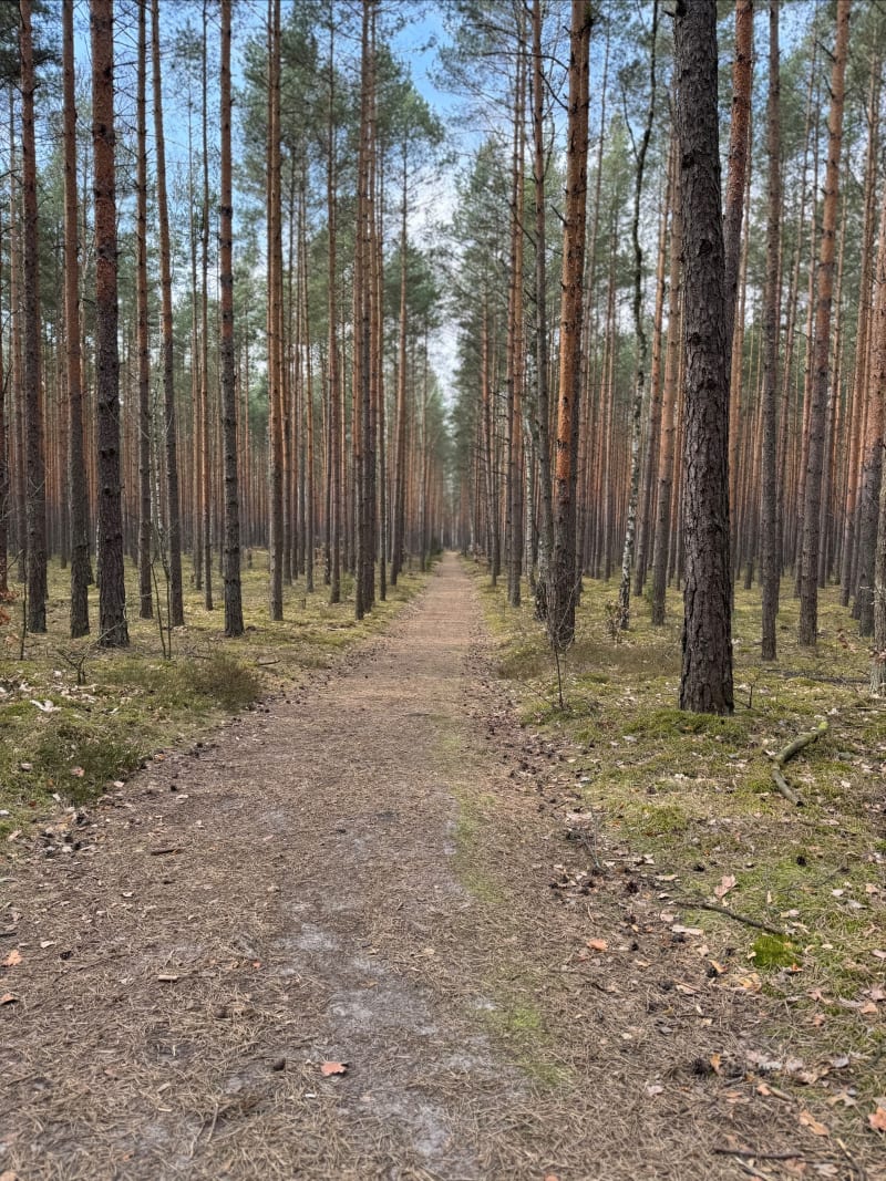 Łużowa Góra, Sieraków, Aleja Ułanów Jazłowieckich, Nadłuże - Łomianki