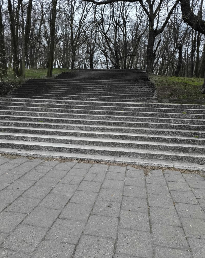 Pagórkowata cytadela - Poznań