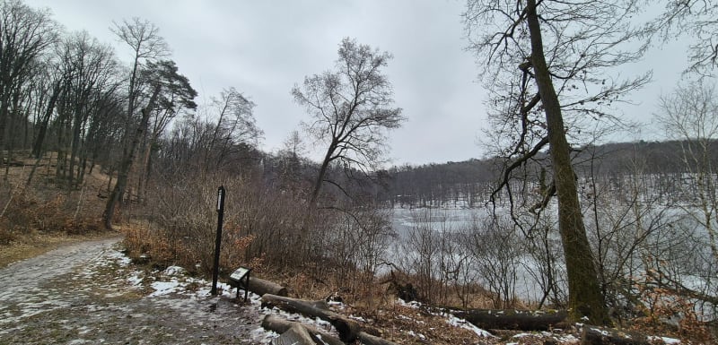 Trasa z Ludwikowa w WPNie - Krosinko