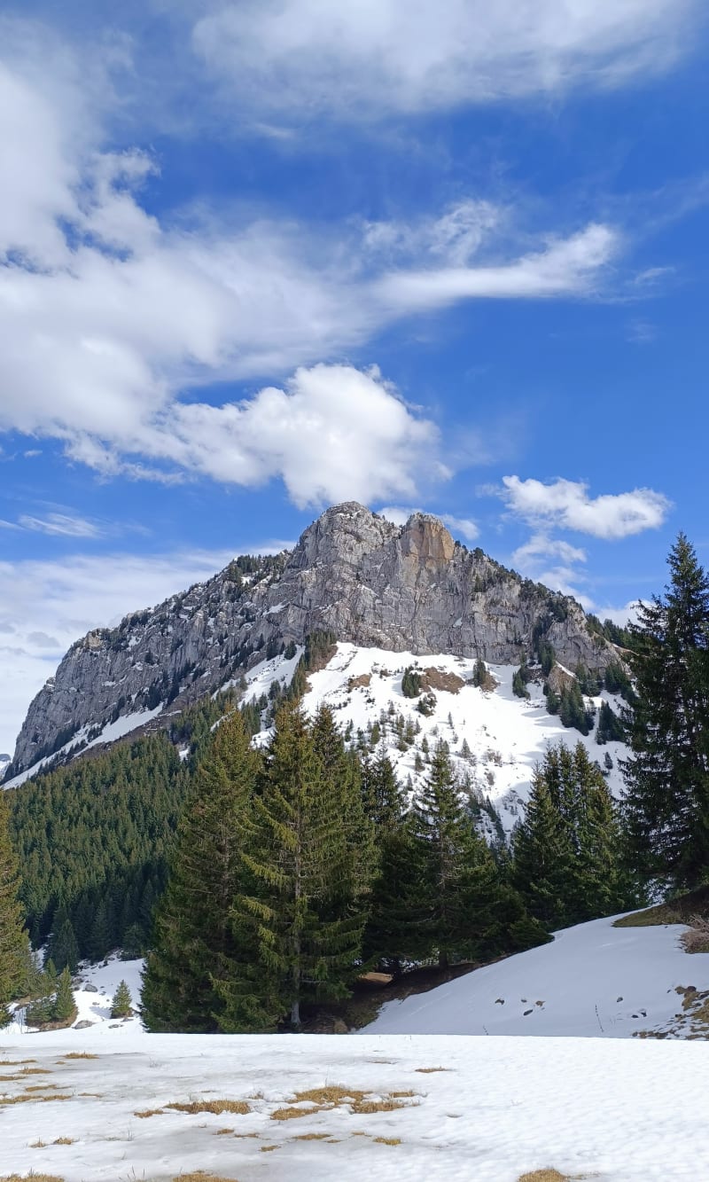 Chalet de Balme et Col de sur Cou, La Roche-sur-Foron - La Roche-sur-Foron