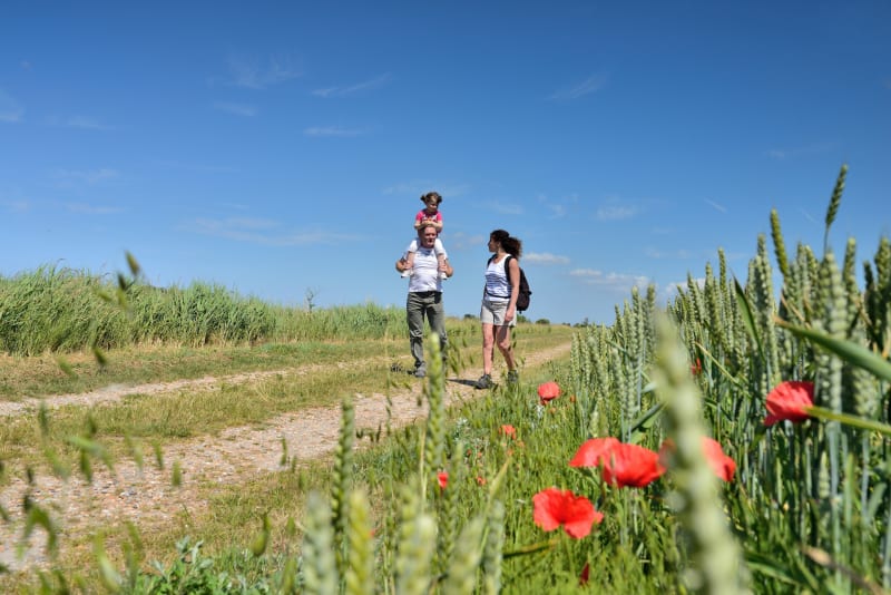 Balade à Pagney-derrière-Barine à Bruley - Pagney-derrière-Barine