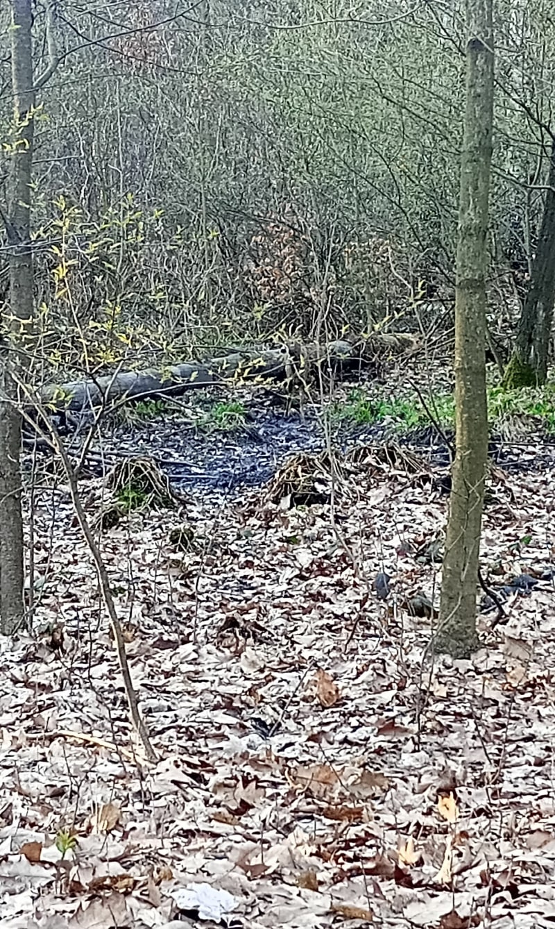 Park Chorzowska Gliwice - Gliwice