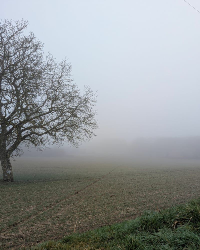 Les écuries, les rives du Cher sur le chemin des châteaux - Azay-sur-Cher