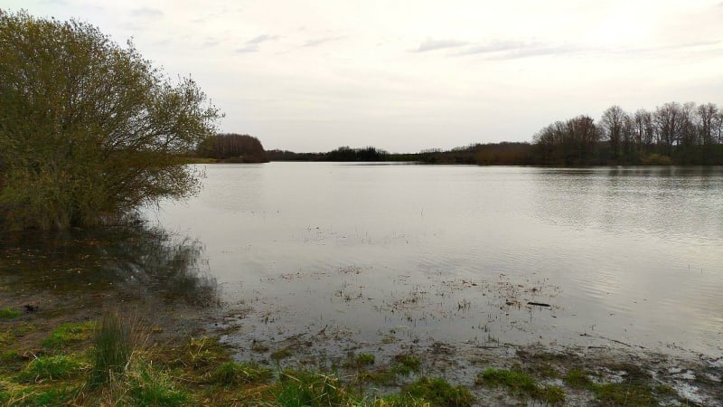 Randonnée entre 2 retenue collinaire de Luzillé, par les Moulins - Luzillé