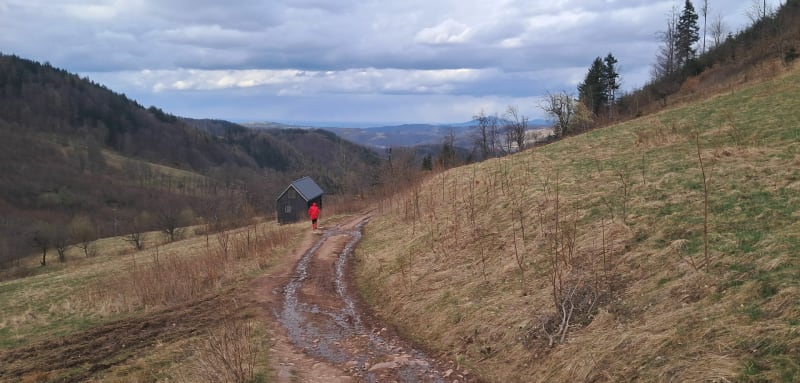 Gomólnik Mały - Grzmiąca