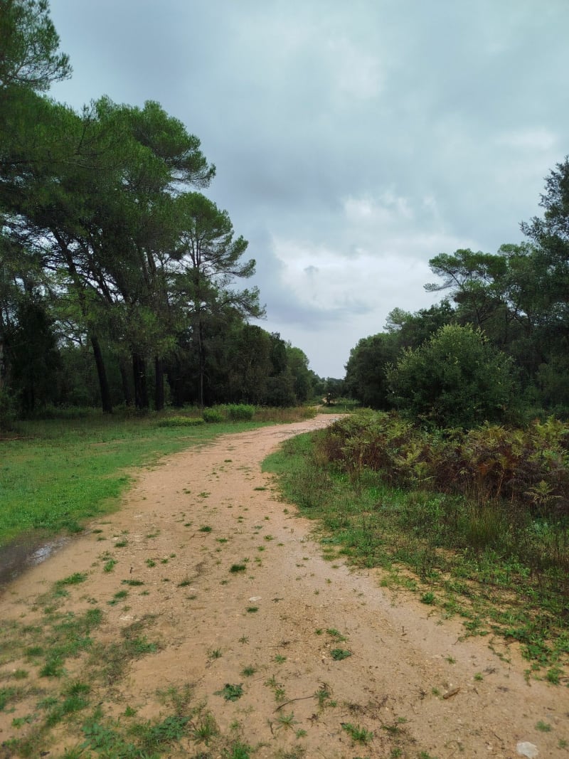 Balade au dessus de Grasse - Grasse