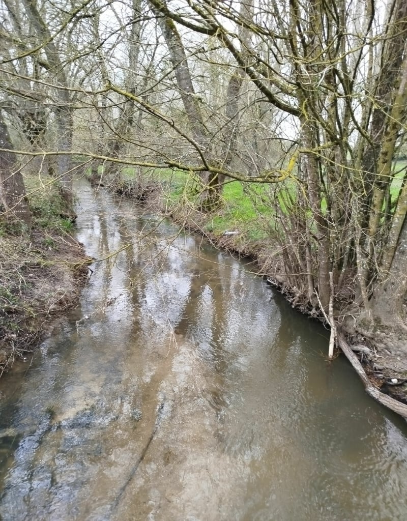 Hauteur de Léoville, par le Moulin Neuf - Léoville