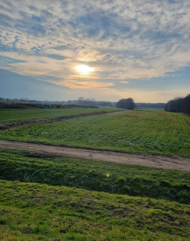 Sur les sentiers et chemins de la Sandlach - Haguenau