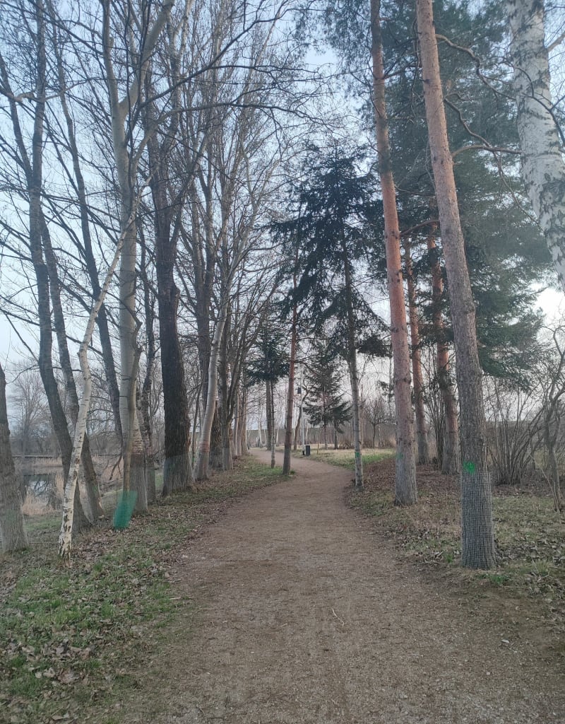 Przylasek Rusiecki i zachód słońca - Kraków
