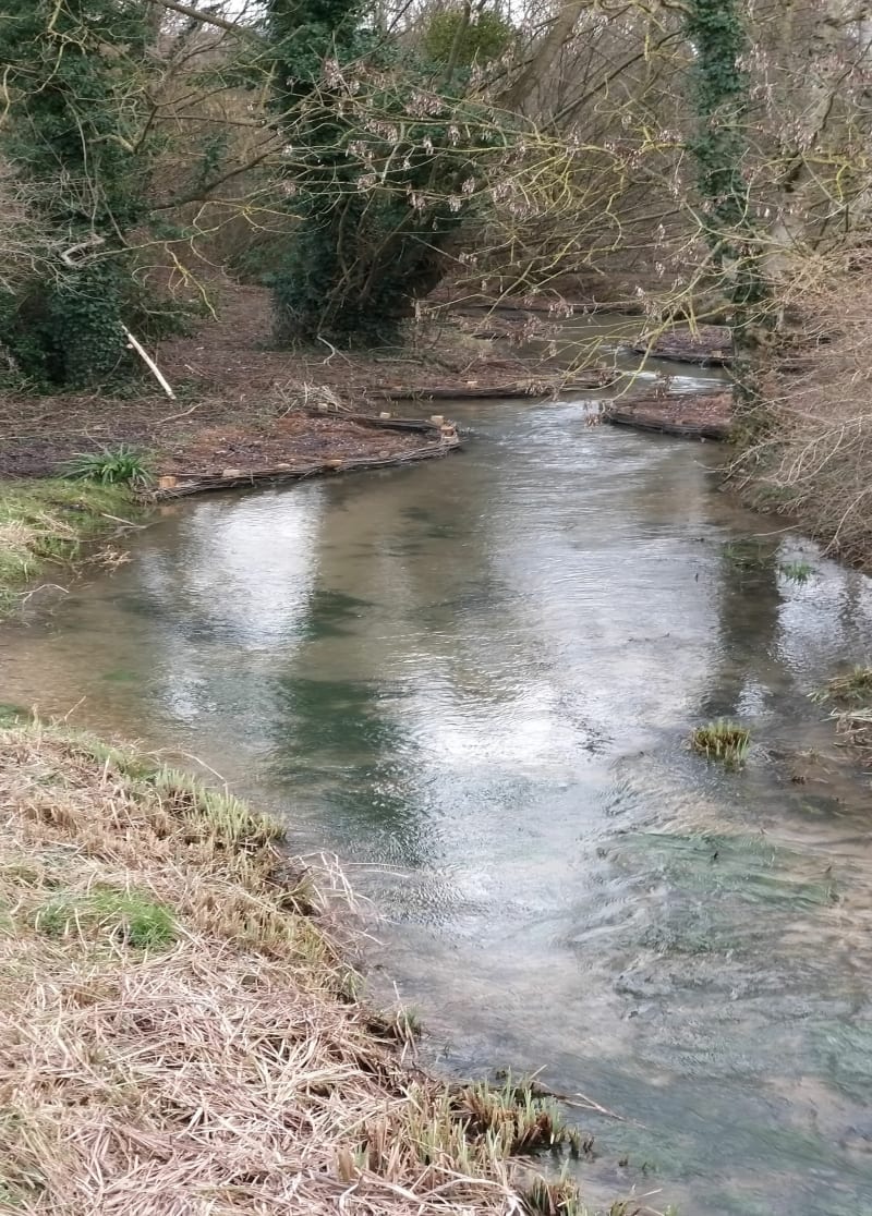 Bercenay-en-Othe et le Bois de la Garenne, par la source de l'Ancre - Bercenay-en-Othe