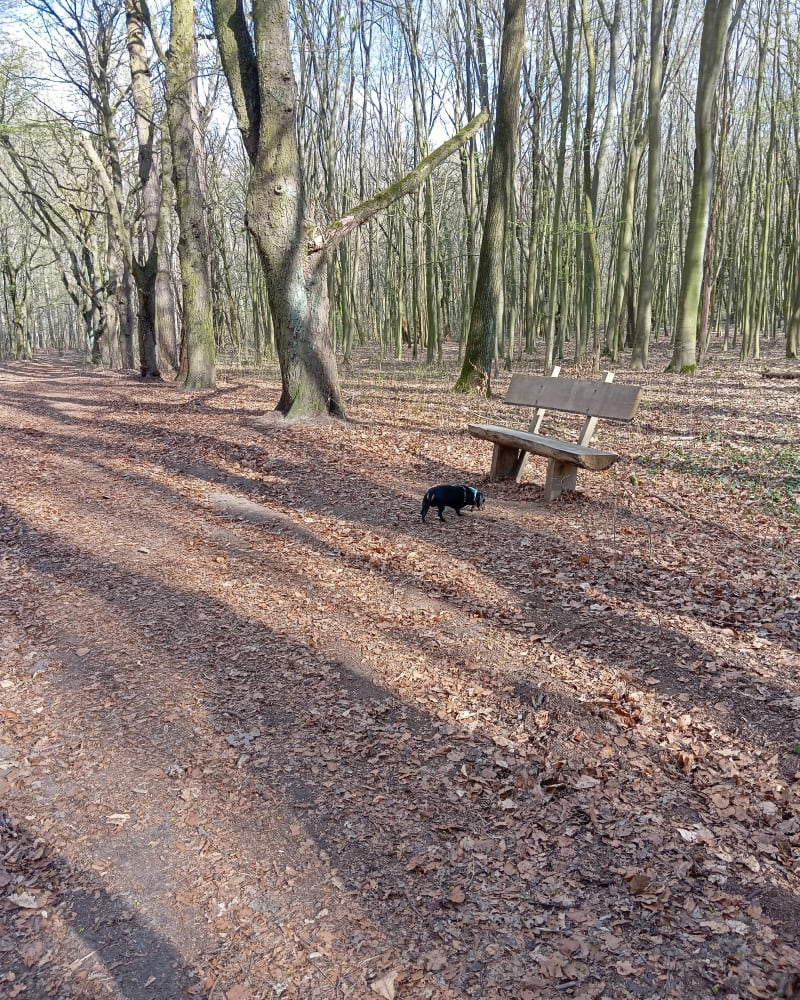 Ruda Popioły - Łódź