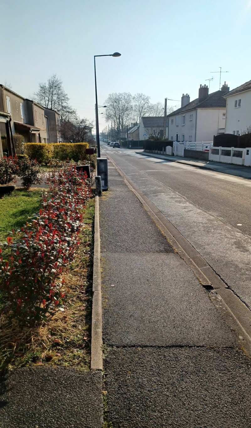 Boucle Semoy avec un peu de dénivelé - Orléans