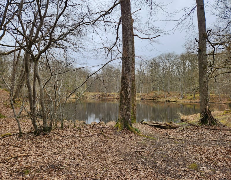 Boucle au départ du parking du lavoir des Essarts-le-Roi - Les Essarts-le-Roi