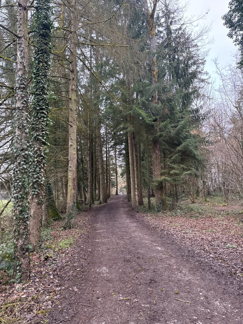 Petite balade en Bois de Login - Peillonnex