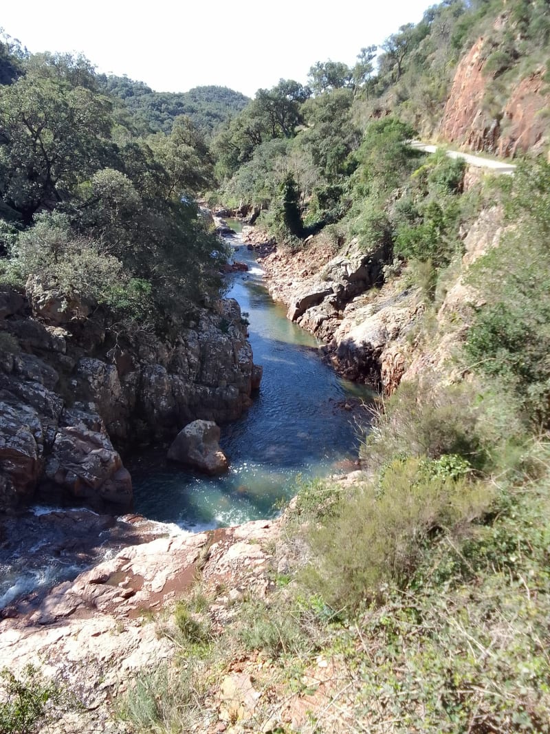 Tour dans l'Esterel - Fréjus