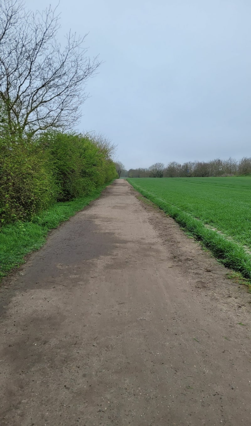 Entre  Franconville, Taverny et les plaines maraîchères - Franconville