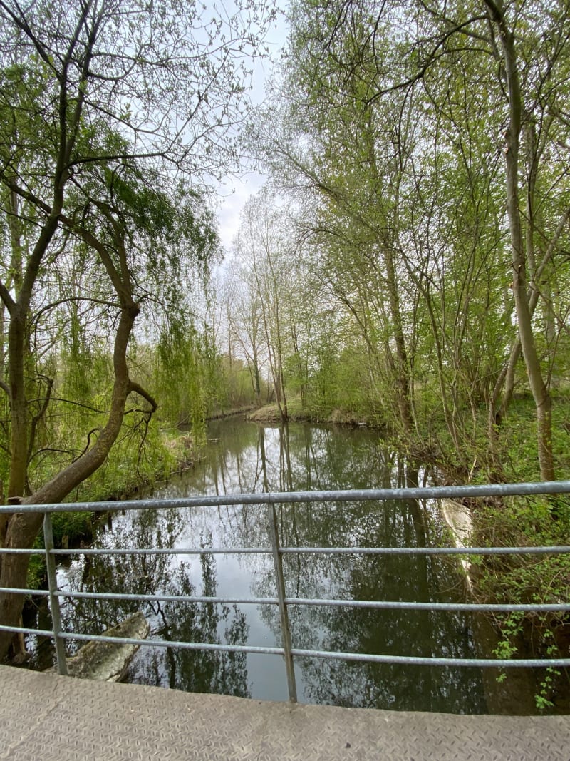 Marais et campagne autour de Palluel - Palluel