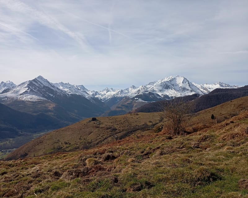 Boucle au départ de Gaillagos, par Couraduque - Arrens-Marsous
