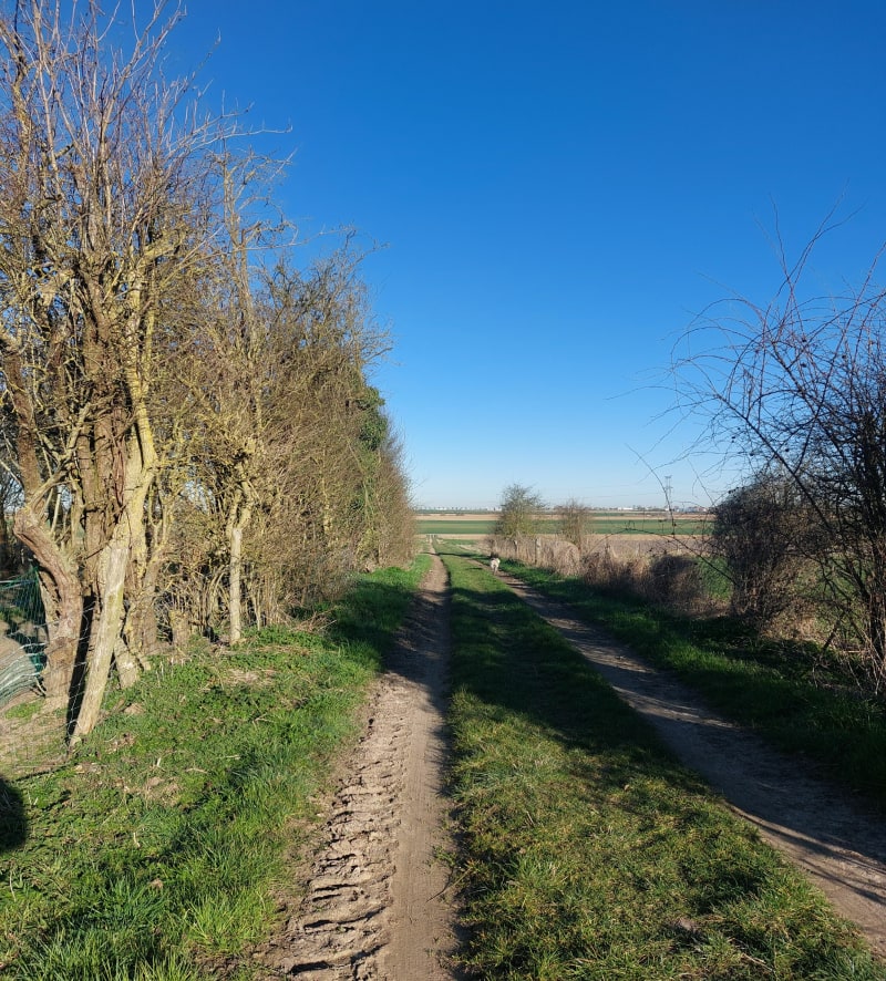 Petite promenade à Mercatel, par Beaurains - Mercatel