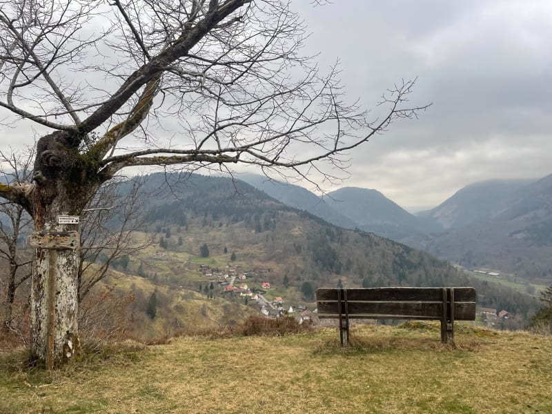 Boucle entre Mollau et Storckensohn - Beau point de vue - Mollau