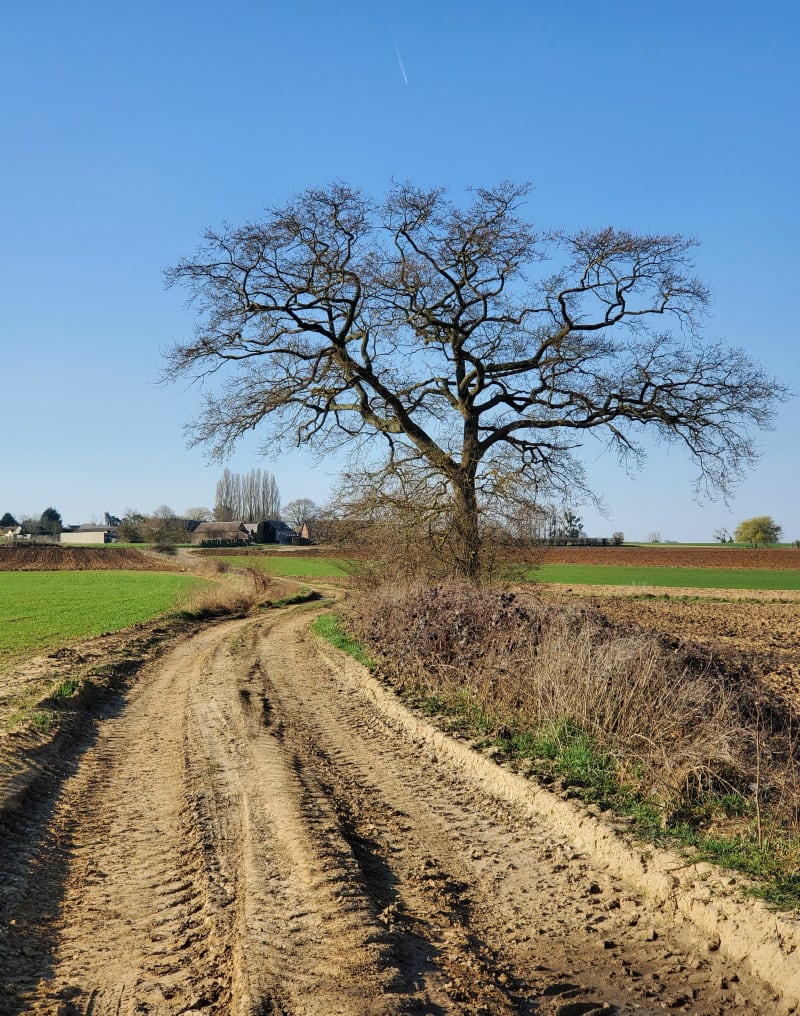 Entre Somme et Oise, par Flavy - Esmery-Hallon