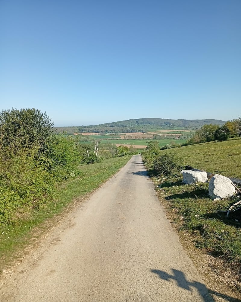 Vignes conservatoire Cramans - Cramans