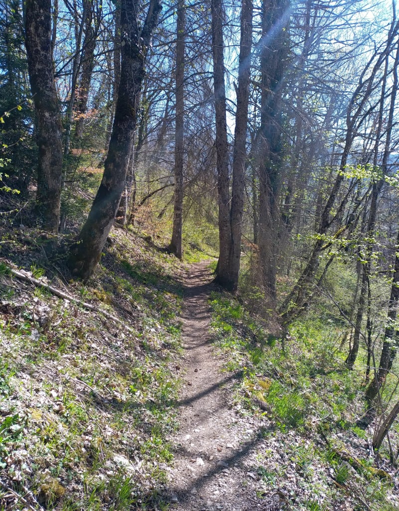 Les Brasses et plateau de Plaine Joux - Onnion