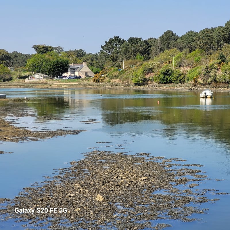Promenade en campagne à pont du Sac'h - Erdeven