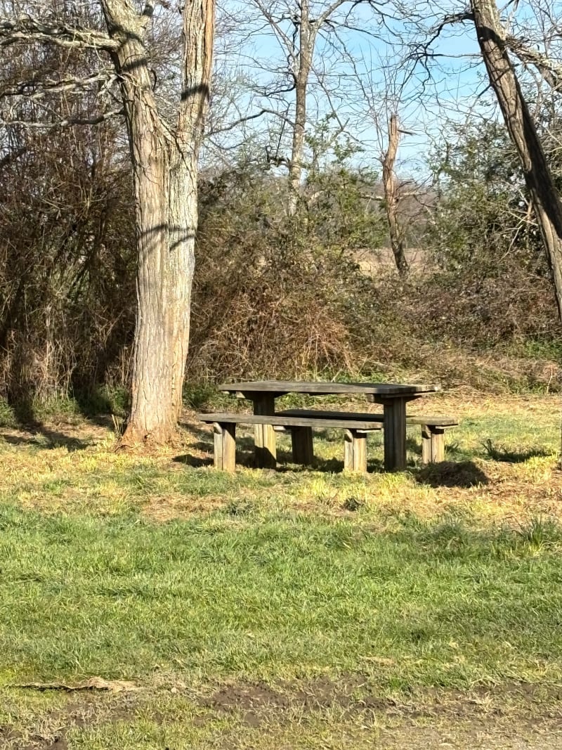 Tour de Serix et forêt d'Ossun - Ossun