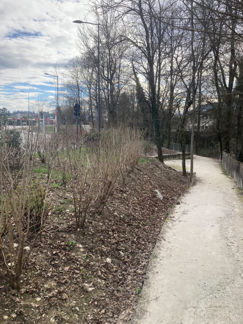 Berges du Sierroz - Embouchure du lac du Bourget - Grésy-sur-Aix