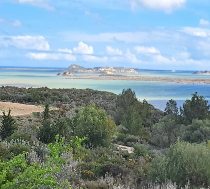 Peyriac de Mer, boucle entre étangs et réserve africaine - Peyriac-de-Mer