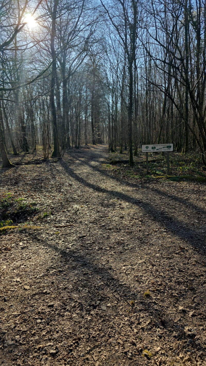 Circuit pédestre dans les bois de Thionville - Thionville