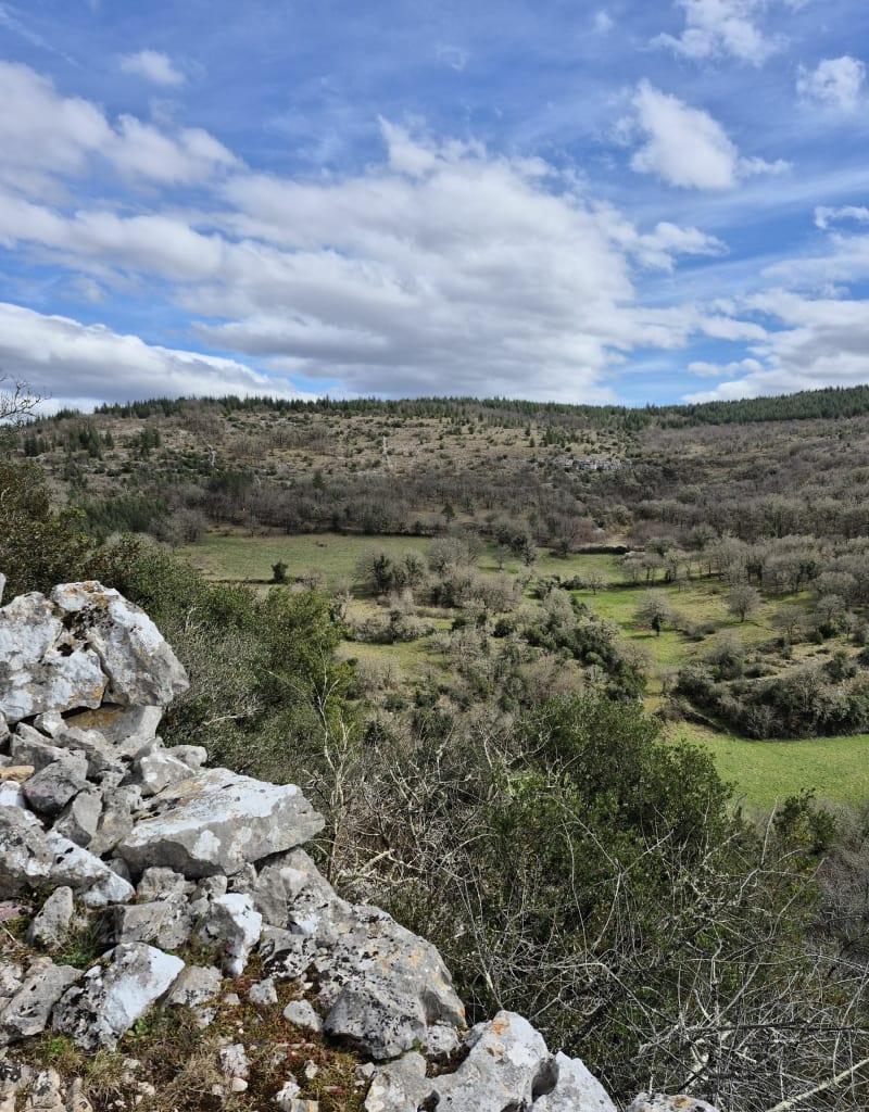 Tour de Cabrerets par le GR651 - Cabrerets