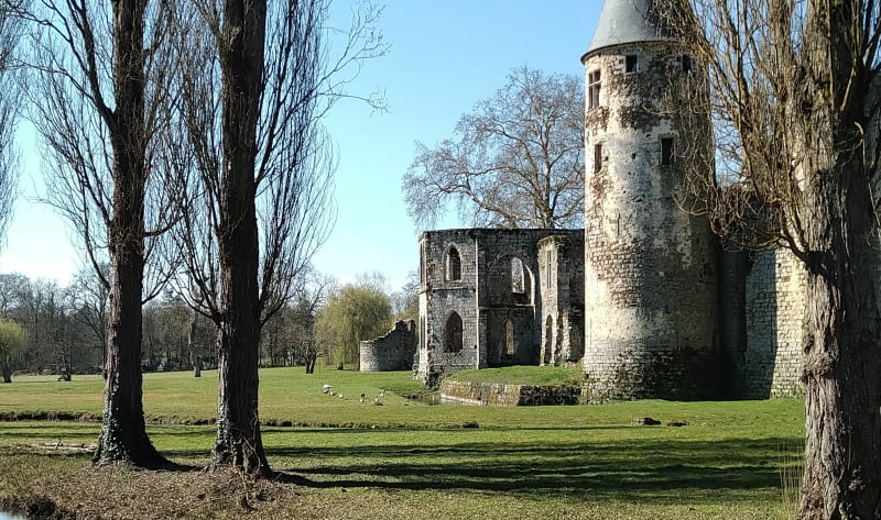 Autour d'Ozouer-le-Voulgis - Ozouer-le-Voulgis