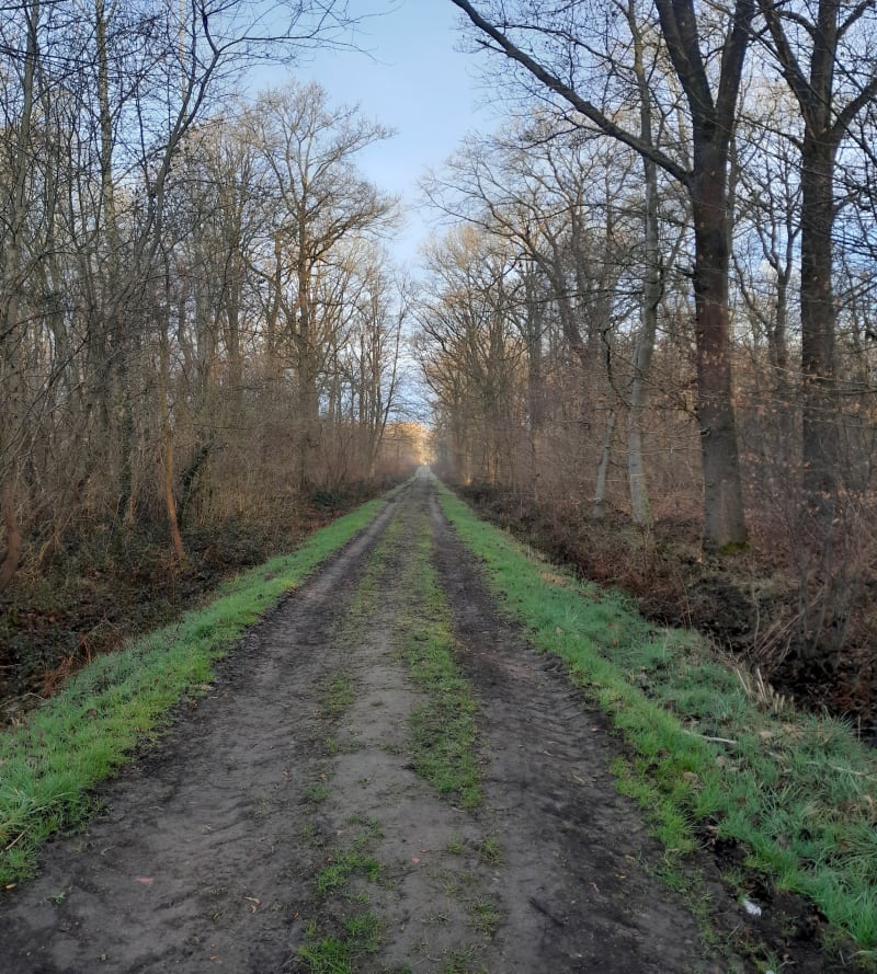Rouillon et Forêt de flines, par Legies - Flines-lès-Mortagne