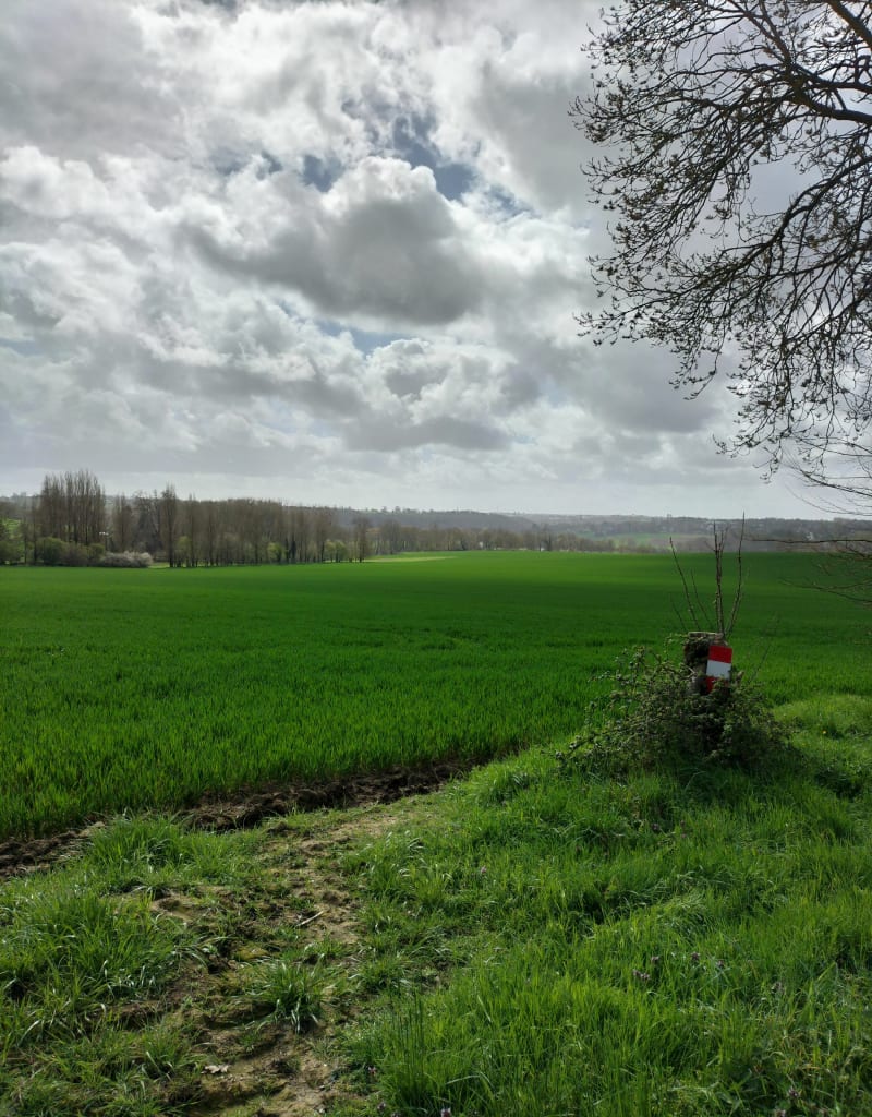 Promenade du Châtelier - La Vicomté-sur-Rance